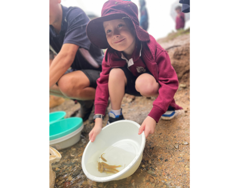 A male student with a tub of water containing a few baby fish being released into the Orara River